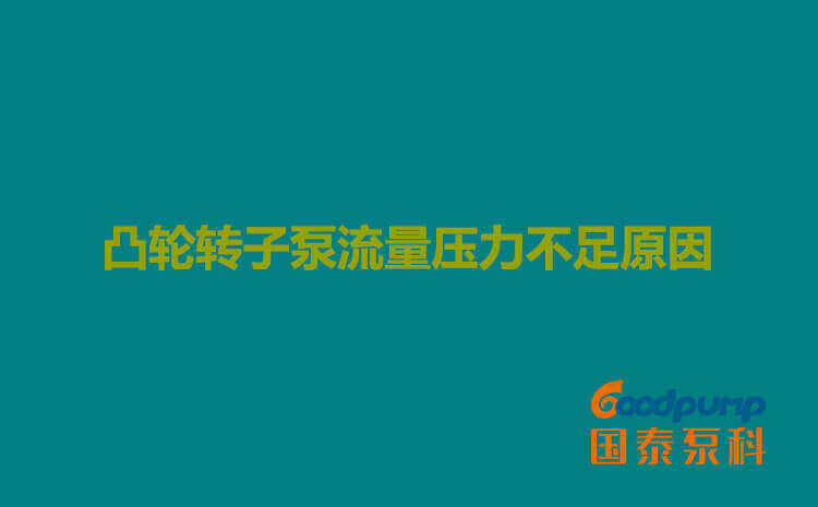 凸轮小蝌蚪视频下载在线播放流量压力不足原因