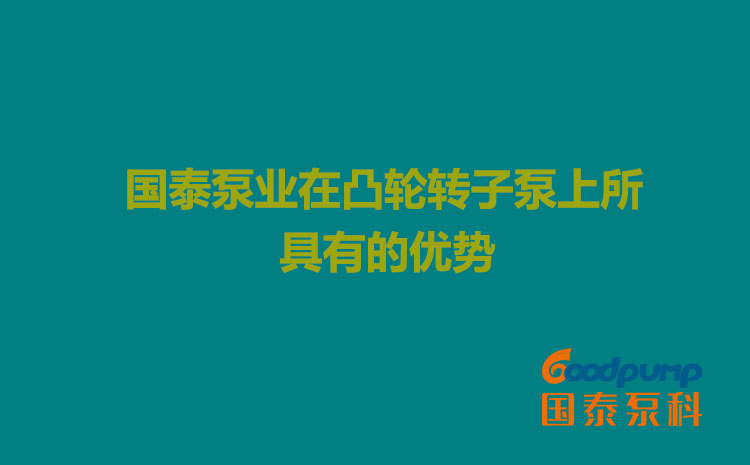 小蝌蚪视频下载污泵业在凸轮小蝌蚪视频下载在线播放上所具有的优势
