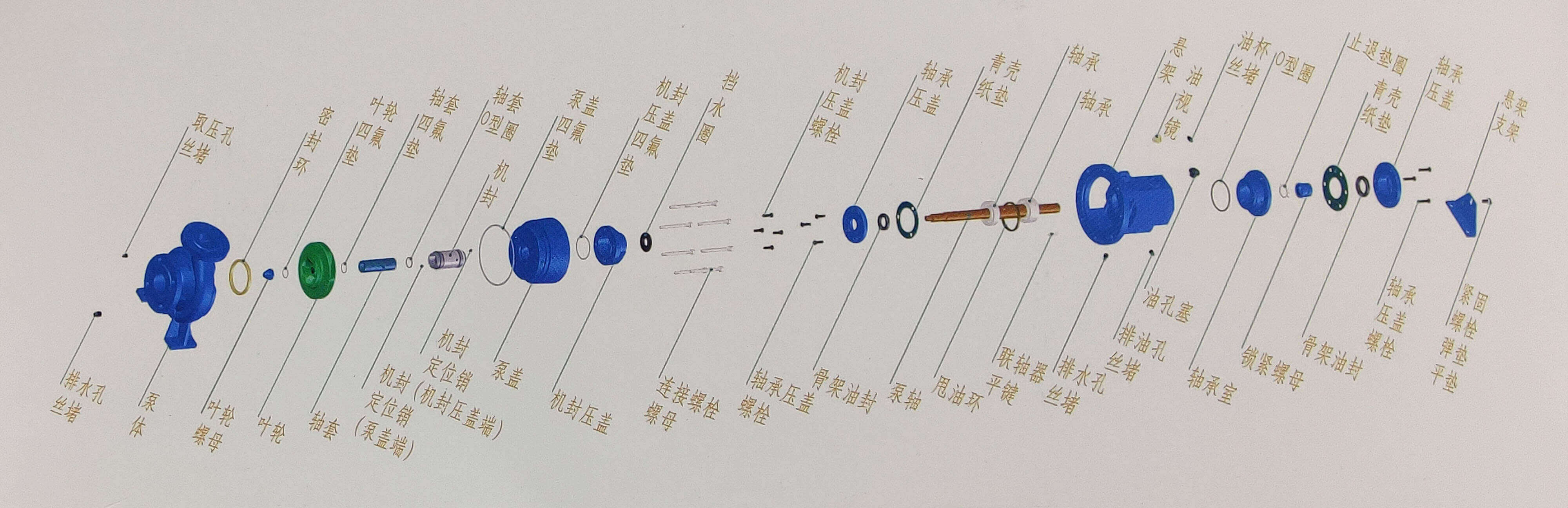 NXH系列单级端吸化工小蝌蚪污污污结构图
