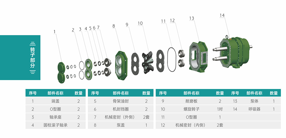 GS/DR系列凸轮小蝌蚪视频下载在线播放转子部分结构图